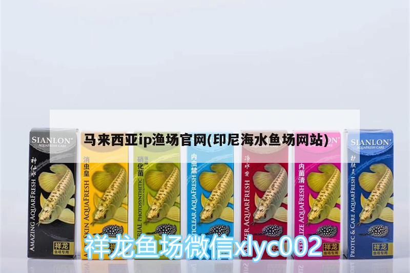 馬來西亞ip漁場官網(印尼海水魚場網站)（養龍魚什么牌子的魚缸好） 馬來西亞ip漁場官網(印尼海水魚場網站)（養龍魚什么牌子的魚缸好） 觀賞魚百科