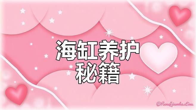 如何避免海水魚缸水質惡化？（妙本哈里海缸大神:海水魚缸水質惡化有效預防海水魚缸水質惡化） 如何避免海水魚缸水質惡化？（妙本哈里海缸大神:海水魚缸水質惡化有效預防海水魚缸水質惡化） 龍魚百科 第2張