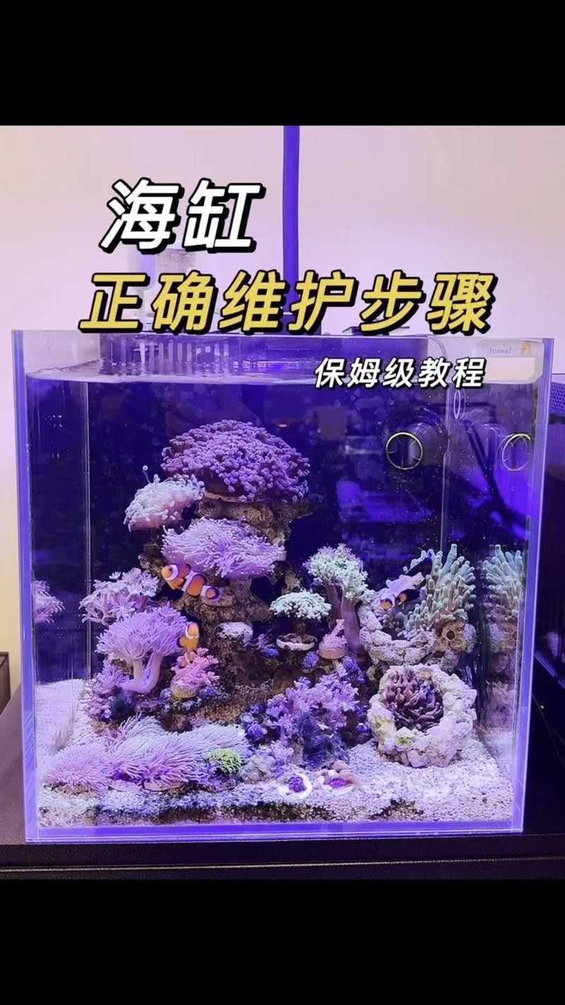 如何避免海水魚缸水質惡化？（妙本哈里海缸大神:海水魚缸水質惡化有效預防海水魚缸水質惡化） 如何避免海水魚缸水質惡化？（妙本哈里海缸大神:海水魚缸水質惡化有效預防海水魚缸水質惡化） 龍魚百科 第3張