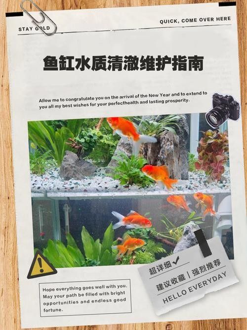 如何避免海水魚缸水質惡化？（妙本哈里海缸大神:海水魚缸水質惡化有效預防海水魚缸水質惡化） 如何避免海水魚缸水質惡化？（妙本哈里海缸大神:海水魚缸水質惡化有效預防海水魚缸水質惡化） 龍魚百科 第7張