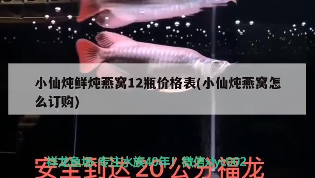 小仙燉鮮燉燕窩12瓶價格表(小仙燉燕窩怎么訂購)（小仙燉鮮燉燕窩12瓶價格表） 小仙燉鮮燉燕窩12瓶價格表(小仙燉燕窩怎么訂購)（小仙燉鮮燉燕窩12瓶價格表） 觀賞魚百科