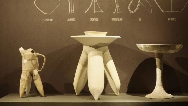 金龍魚在廣漢的主要產品有哪些（金龍魚在廣漢地區的主要產品線） 金龍魚在廣漢的主要產品有哪些（金龍魚在廣漢地區的主要產品線） 龍魚百科 第14張