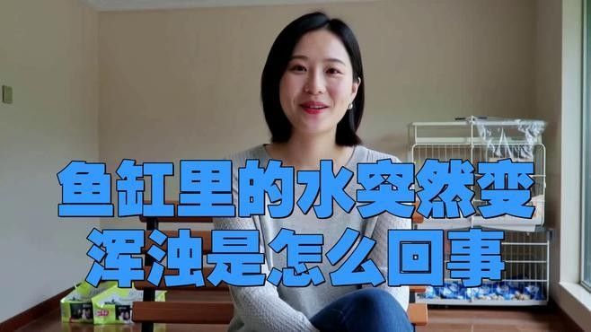 龍魚缸水渾濁有哪些常見原因（魚缸水總渾濁是怎么回事） 龍魚缸水渾濁有哪些常見原因（魚缸水總渾濁是怎么回事） 龍魚百科 第2張