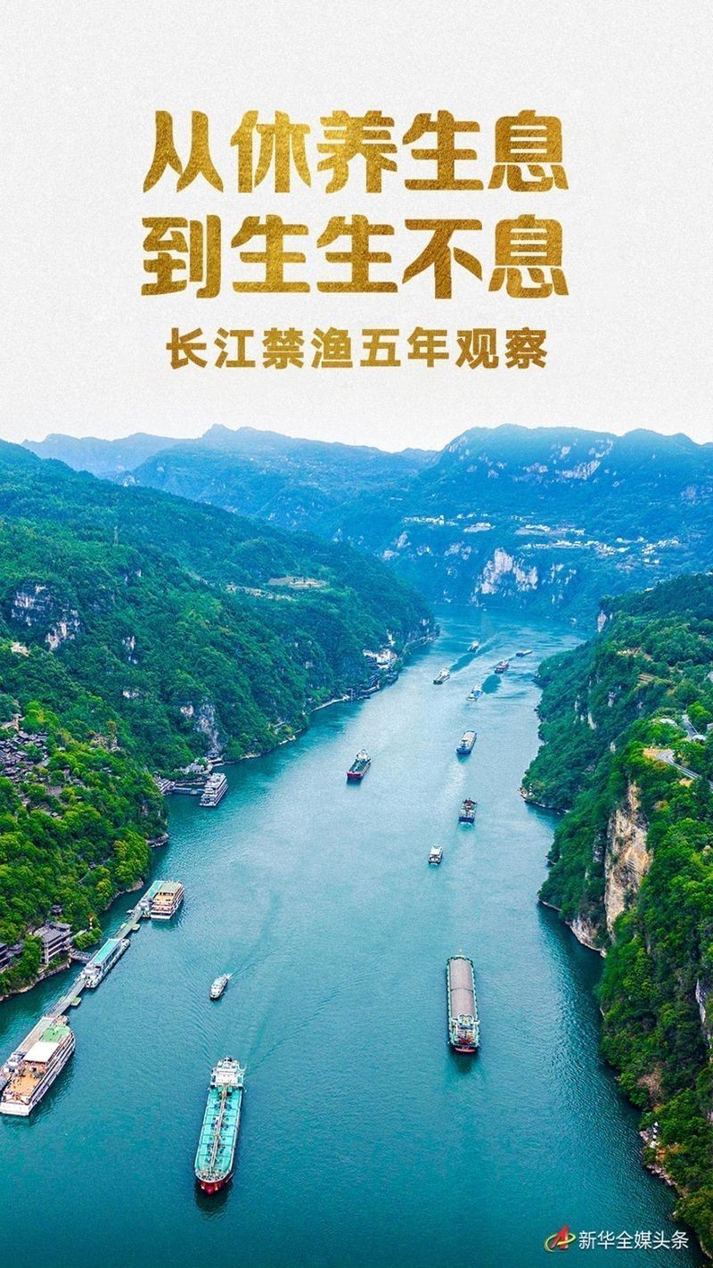 長江禁捕對漁業產業有何影響？（長江禁捕十年，里面的魚現在怎么樣了）