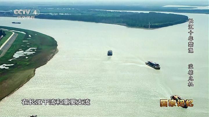 長江禁捕對漁業產業有何影響？（長江禁捕十年，里面的魚現在怎么樣了）