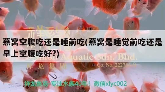 麗水水族批發(fā)市場(chǎng)地址電話號(hào)碼查詢及查詢方法，麗水水族批發(fā)市場(chǎng)地址電話號(hào)碼
