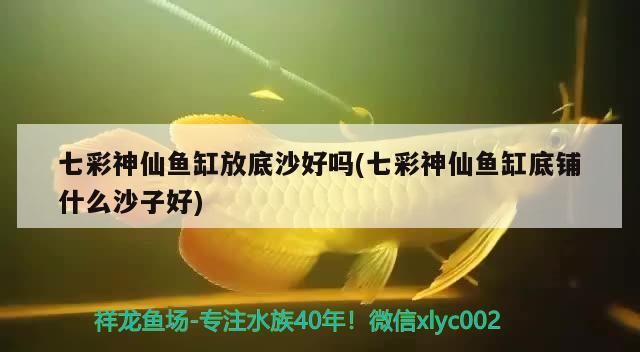 麗水水族批發(fā)市場(chǎng)地址電話號(hào)碼查詢及查詢方法，麗水水族批發(fā)市場(chǎng)地址電話號(hào)碼