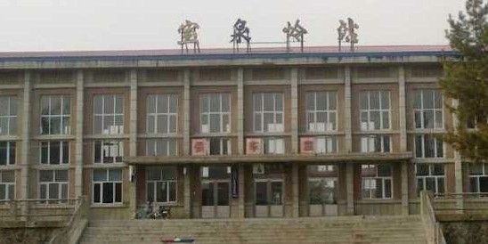 寶泉嶺地區還有哪些江魚行？（寶泉嶺地區有哪些知名的江魚行？） 寶泉嶺地區還有哪些江魚行？（寶泉嶺地區有哪些知名的江魚行？） 龍魚百科 第2張