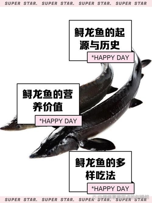 如何區分不同種類的鱘龍魚（如何區分鱘龍魚的種類） 如何區分不同種類的鱘龍魚（如何區分鱘龍魚的種類） 龍魚百科 第11張