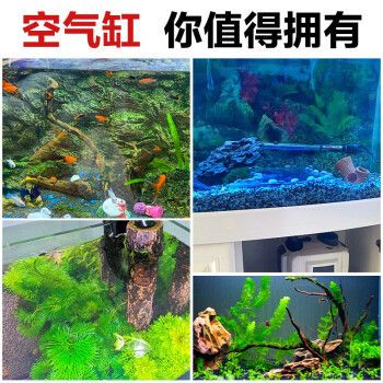 龍魚蒙眼怎么治療視頻講解（龍魚蒙眼怎么治療視頻講解教程）（龍魚蒙眼治療視頻講解教程）