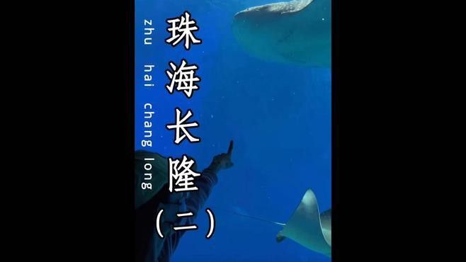 鯨鯊館夜宿體驗包括哪些內(nèi)容？（珠海長隆海洋王國鯨鯊館夜宿體驗是一種獨特的旅游活動）