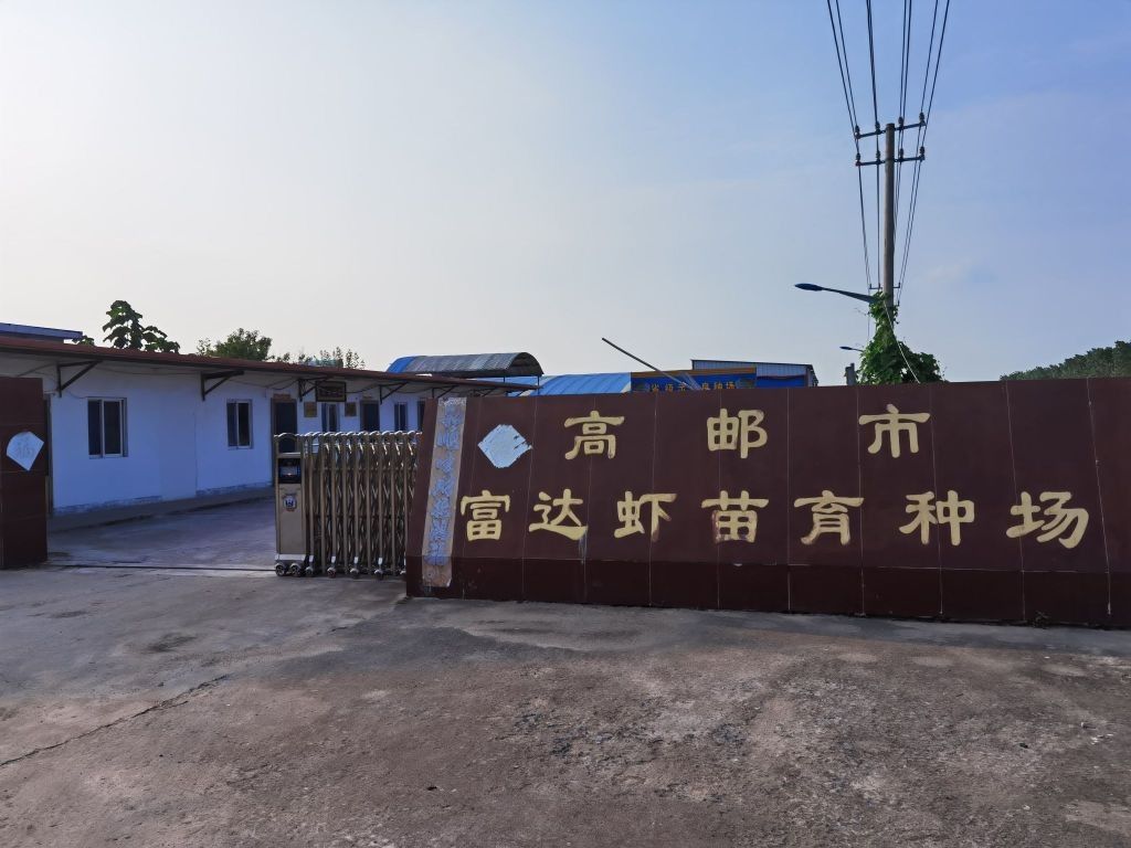 高郵哪個水族館龍魚好？祥龍魚場龍魚（高郵市祥龍魚場）
