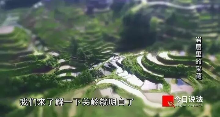秀尼魚龍化石市場價格如何（秀尼魚龍化石價格受到多種因素影響價格受到多種因素影響）