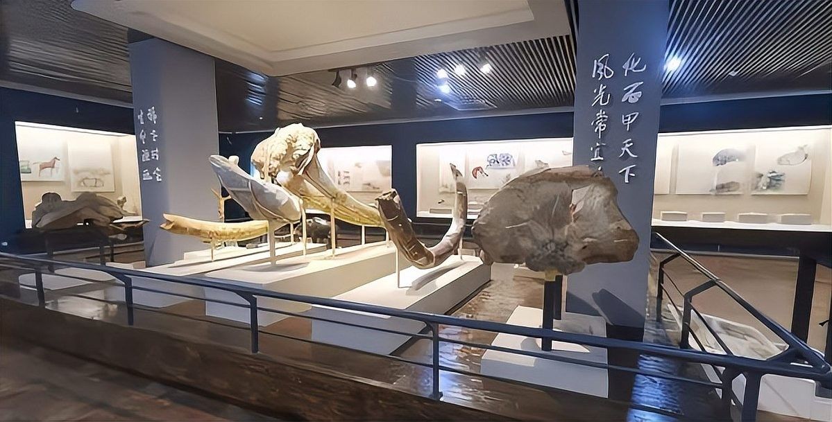 秀尼魚龍化石市場價格如何（秀尼魚龍化石價格受到多種因素影響價格受到多種因素影響）