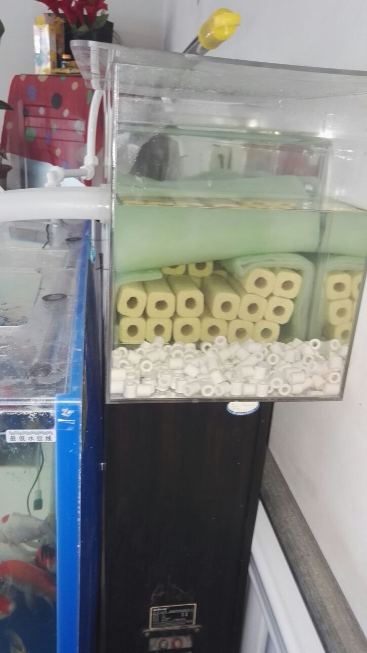 永州觀賞魚市場上過濾改造之前的過濾系統(tǒng)太小了魚屎根本過濾不了小泵抽不上去大泵直接從過濾棉上邊流過（新手養(yǎng)魚之過濾） 永州觀賞魚市場上過濾改造之前的過濾系統(tǒng)太小了魚屎根本過濾不了小泵抽不上去大泵直接從過濾棉上邊流過（新手養(yǎng)魚之過濾） 觀賞魚百科 第3張