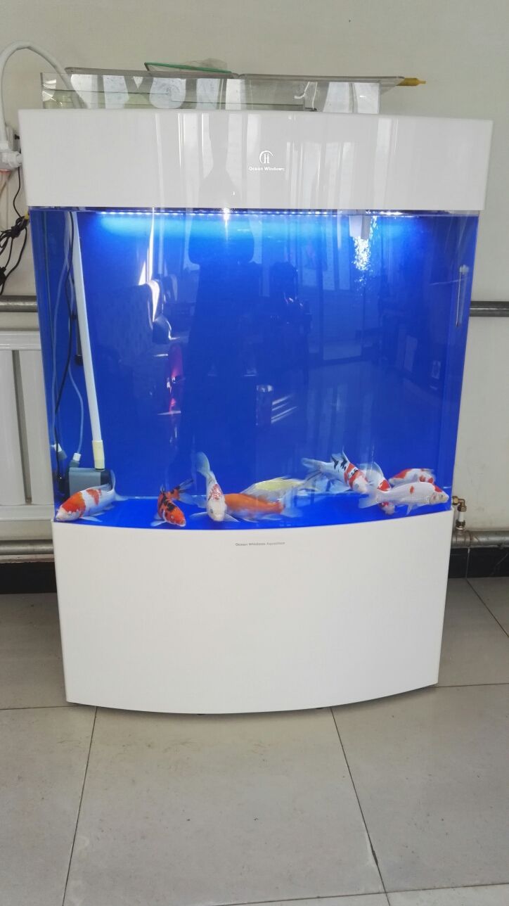 永州觀賞魚市場上過濾改造之前的過濾系統(tǒng)太小了魚屎根本過濾不了小泵抽不上去大泵直接從過濾棉上邊流過（新手養(yǎng)魚之過濾） 永州觀賞魚市場上過濾改造之前的過濾系統(tǒng)太小了魚屎根本過濾不了小泵抽不上去大泵直接從過濾棉上邊流過（新手養(yǎng)魚之過濾） 觀賞魚百科 第4張