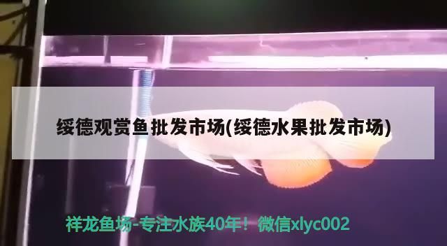 綏德觀賞魚批發市場(綏德水果批發市場)