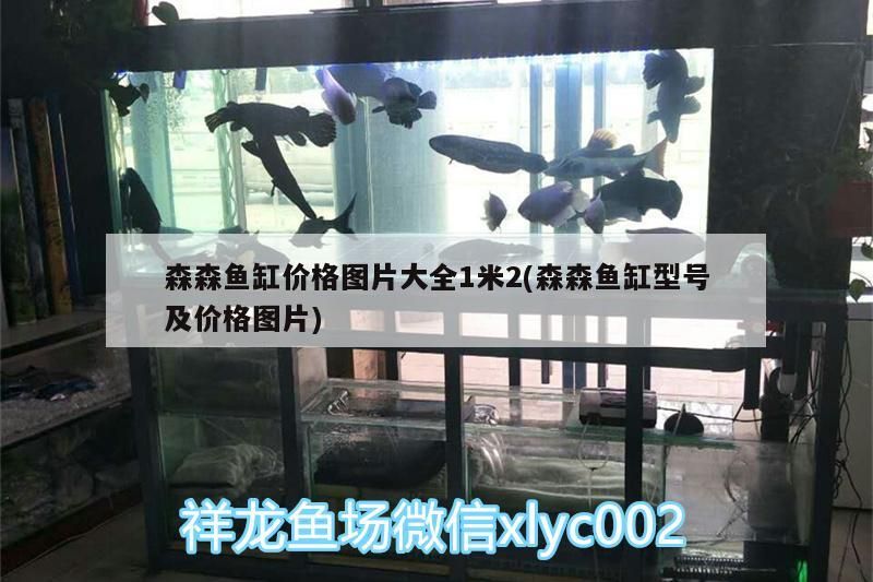 森森魚缸價格圖片大全1米2(森森魚缸型號及價格圖片)（森森魚缸價格圖片大全1米2）