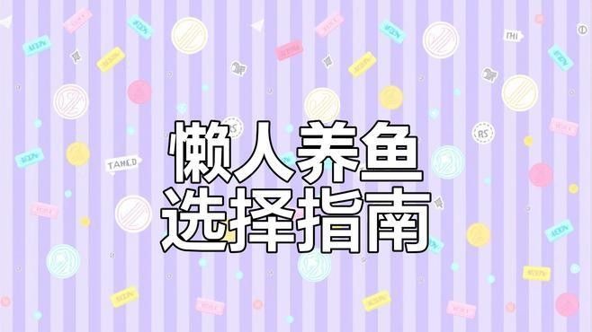 哪些觀賞魚適合懶人（12種最適合懶人養的觀賞魚）