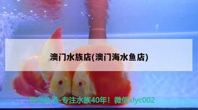 澳門水族店(澳門海水魚(yú)店)（澳門水族店（澳門海水魚(yú)店）水族店（澳門水族店））