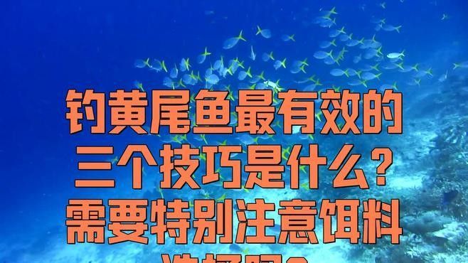 黃尾龍魚的市場(chǎng)需求如何（黃尾龍魚的市場(chǎng)需求呈現(xiàn)出多樣化的特點(diǎn)） 黃尾龍魚的市場(chǎng)需求如何（黃尾龍魚的市場(chǎng)需求呈現(xiàn)出多樣化的特點(diǎn)） 龍魚百科 第2張