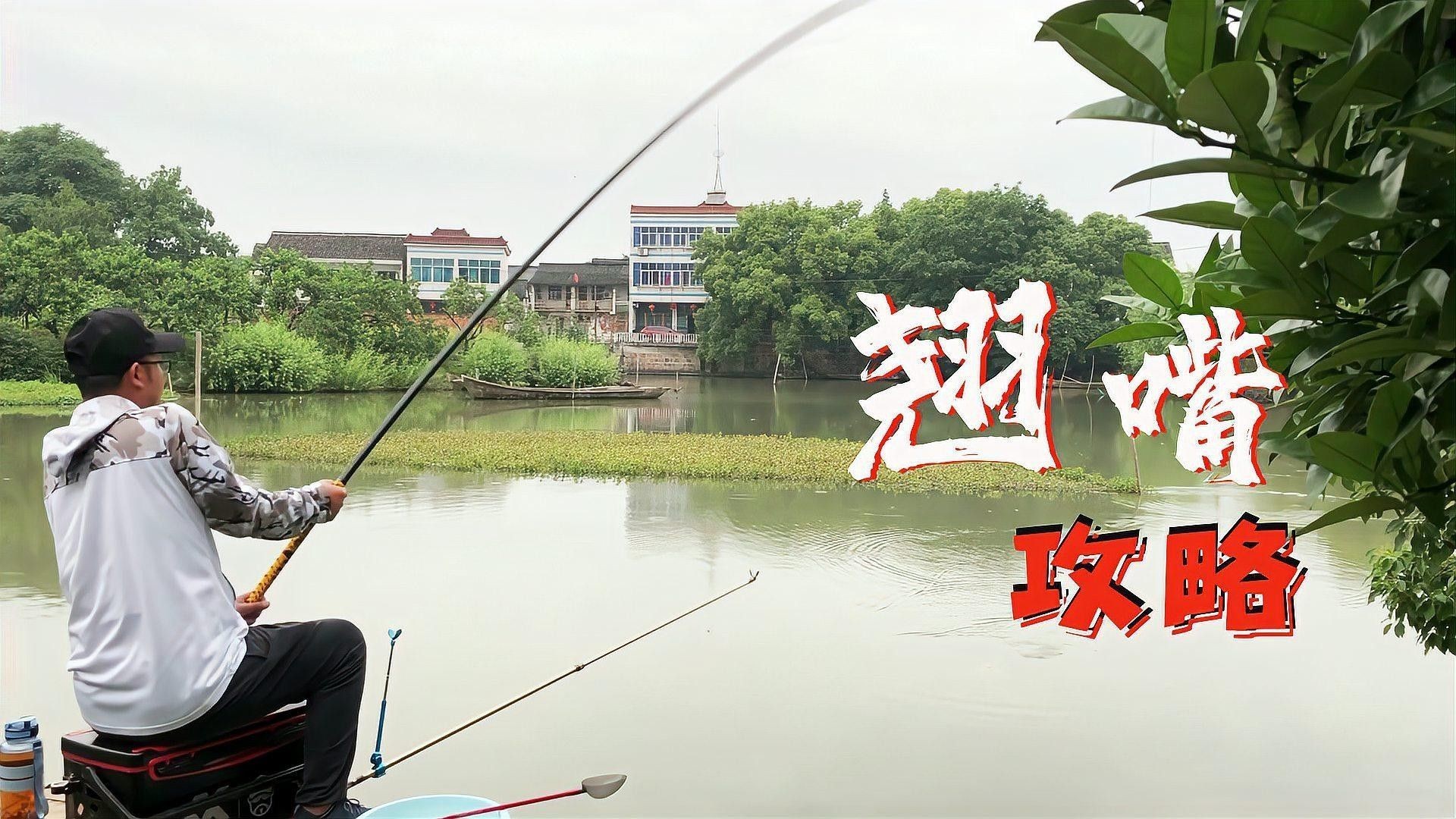 如何判斷翹嘴是否開口？（判斷一個人是否在開口（即是否在說話）可以通過觀察面部表情） 如何判斷翹嘴是否開口？（判斷一個人是否在開口（即是否在說話）可以通過觀察面部表情） 龍魚百科 第1張