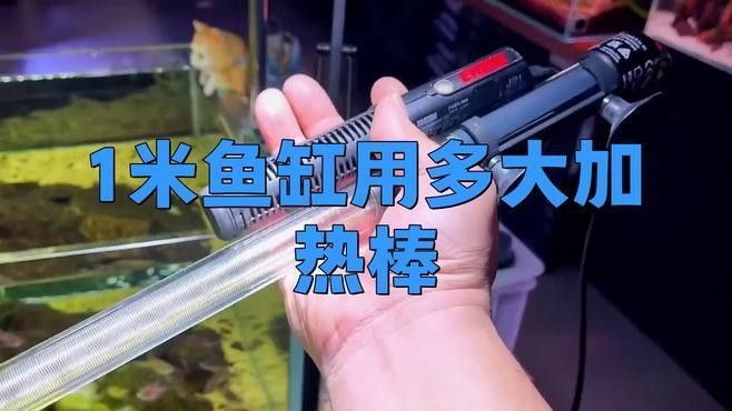 1.8米魚缸需要多少瓦的加熱棒（1.8米長魚缸加熱棒功率需要了解幾個關鍵因素）