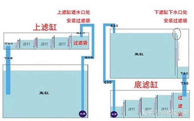 ADA和森森哪個更適合新手（ada和森森哪個更好？）