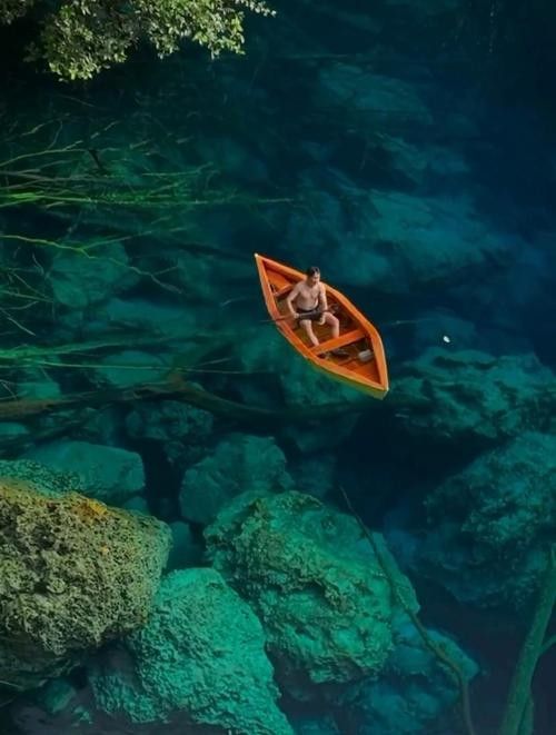 給我一些印尼大湖龍魚的照片（印尼大湖龍魚）