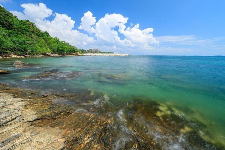 給我一些印尼大湖龍魚的照片（印尼大湖龍魚）