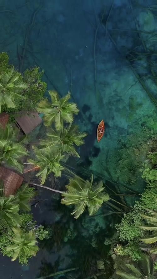 給我一些印尼大湖龍魚的照片（印尼大湖龍魚）