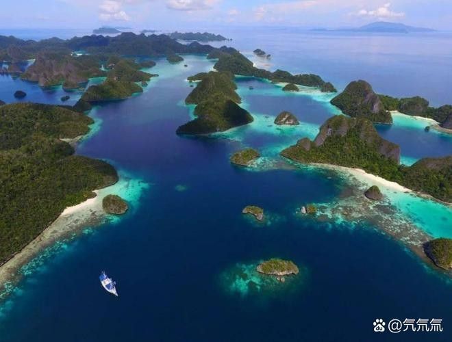 給我一些印尼大湖龍魚的照片（印尼大湖龍魚）