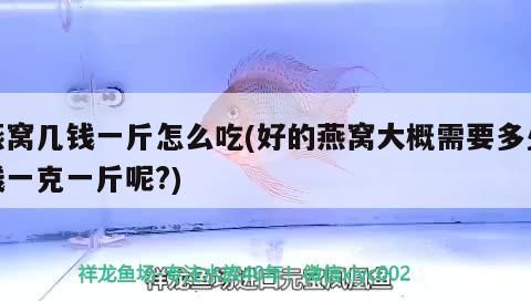 記錄第65天（祥龍水族聯盟魚友怎么評論的====）