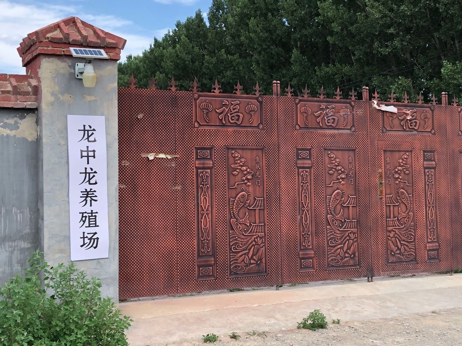 太仆寺哪個水族館龍魚好？祥龍魚場龍魚（北京祥龍魚場水族館）