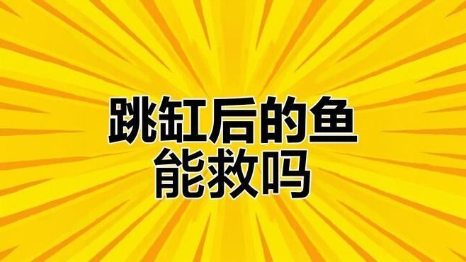 凱龍魚缸跳缸后如何急救？（凱龍魚跳缸后多久可以恢復(fù)正常凱龍魚跳缸后多久可以恢復(fù)正常）