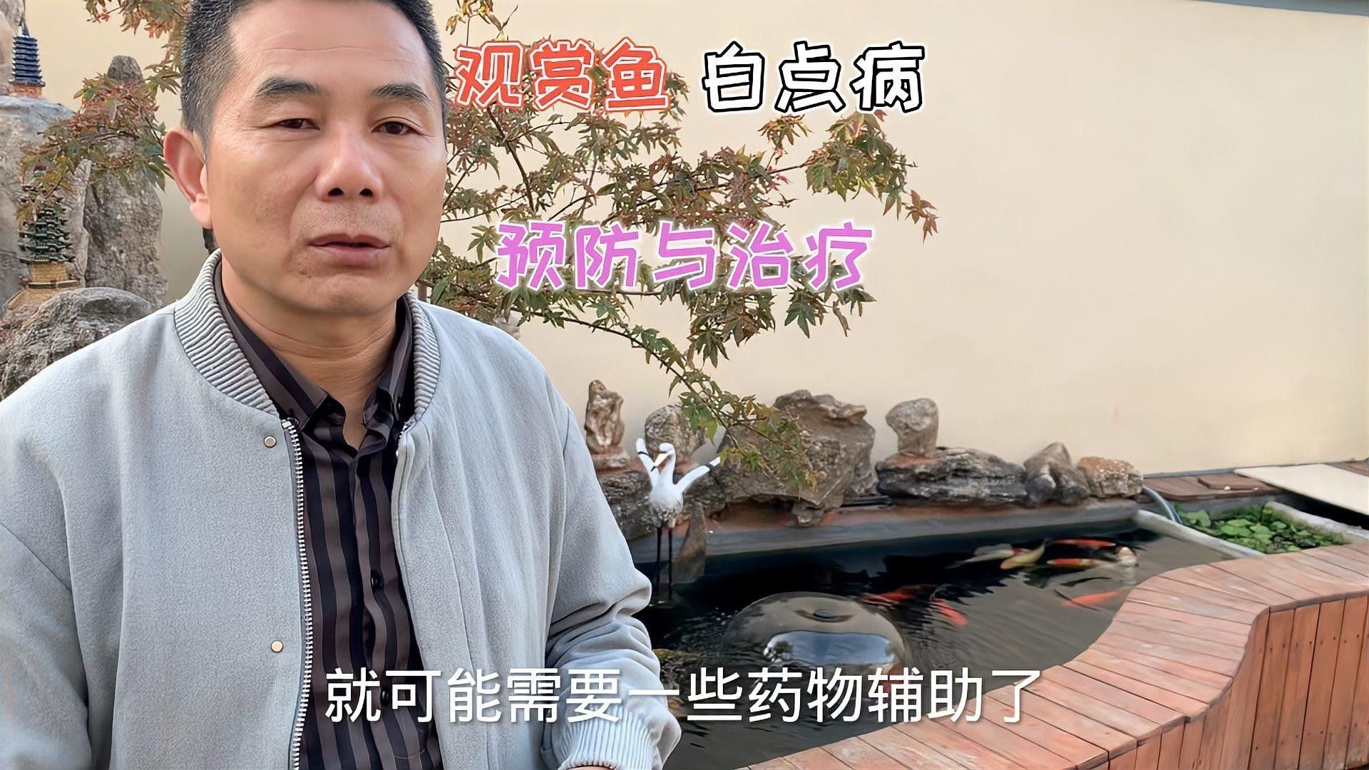 如何預防龍魚的小瓜蟲病（觀賞魚生了白點病(怎么預防小瓜蟲病治療三大方法） 如何預防龍魚的小瓜蟲病（觀賞魚生了白點病(怎么預防小瓜蟲病治療三大方法） 龍魚百科 第1張