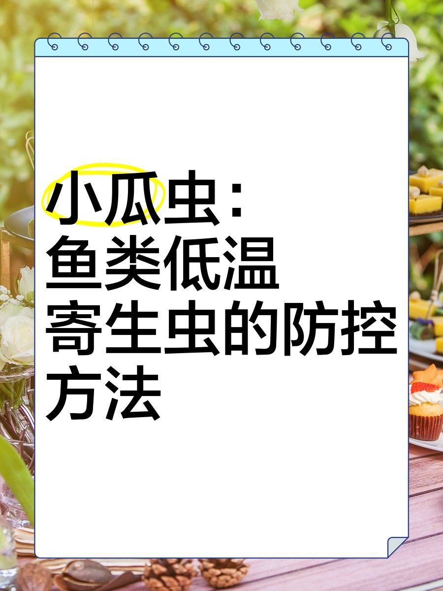 如何預防龍魚的小瓜蟲病（觀賞魚生了白點病(怎么預防小瓜蟲病治療三大方法） 如何預防龍魚的小瓜蟲病（觀賞魚生了白點病(怎么預防小瓜蟲病治療三大方法） 龍魚百科 第4張