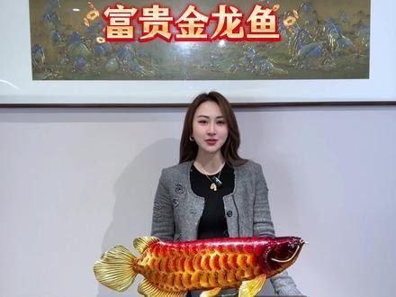 銅質金龍魚的價格是多少（銅質金龍魚價格是多少）