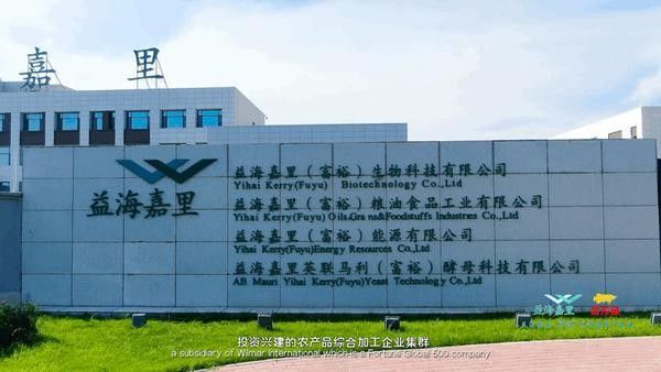 如何申請齊齊哈爾金龍魚產業園的職位（如何申請齊齊哈爾金龍魚產業園職位）