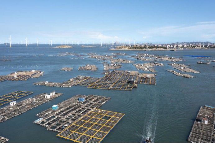 杜龍魚的主要產地在哪里？（杜龍魚的產地特征）