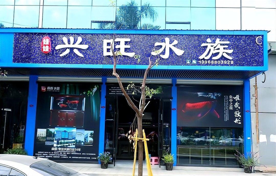 能提供更多<strong><mark>浙江</mark></strong>龍魚市場的信息嗎（杭州吳山花鳥城<strong><mark>浙江</mark></strong>龍魚市場）