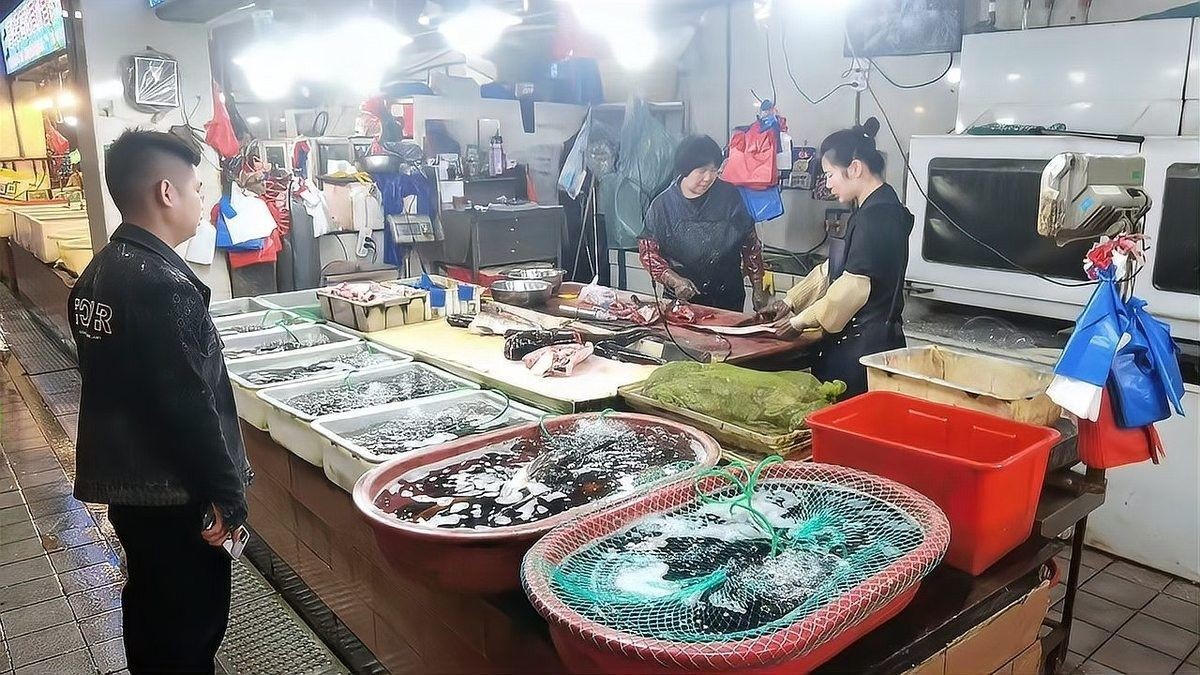 能提供更多浙江龍魚市場的信息嗎（杭州吳山花鳥城浙江龍魚市場）