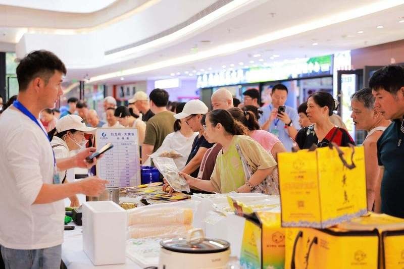 能提供更多浙江龍魚市場的信息嗎（杭州吳山花鳥城浙江龍魚市場）