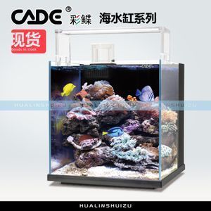 帝王三間能和銀龍魚混養嗎（帝王三間魚可以和銀龍魚混養嗎）