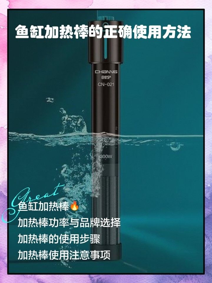如何設置加熱棒以保持水溫穩定（如何正確設置加熱棒以保持水溫穩定）