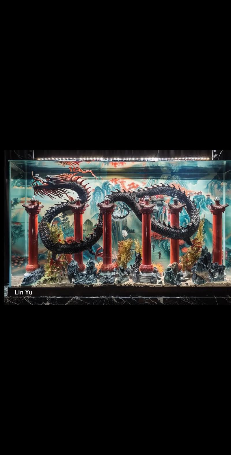 給我一些東海龍宮御龍魚缸的圖片 給我一些東海龍宮御龍魚缸的圖片 龍魚百科 第5張
