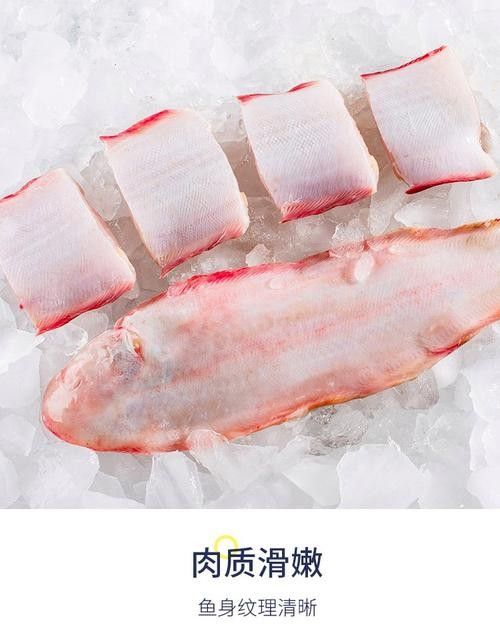 如何區分金龍魚和龍利魚（金龍魚和龍利魚的區別）