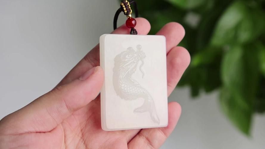 白玉龍魚的價格是多少？（白玉龍魚養殖攻略:白玉龍魚價格受多種因素影響）