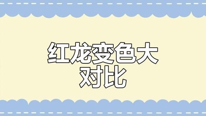 紫艷紅龍發色后顏色如何