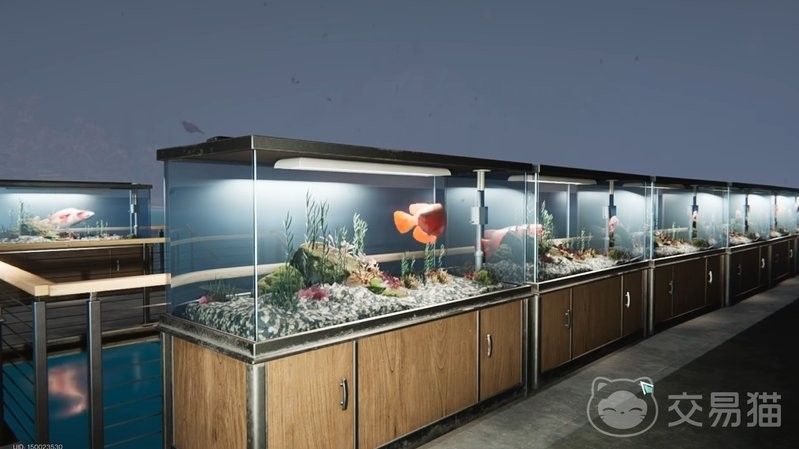 有哪些游戲中有金龍魚？（《夢幻西游》手游金龍魚怎么獲得）